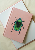 Notesbøger — Samlet pakke