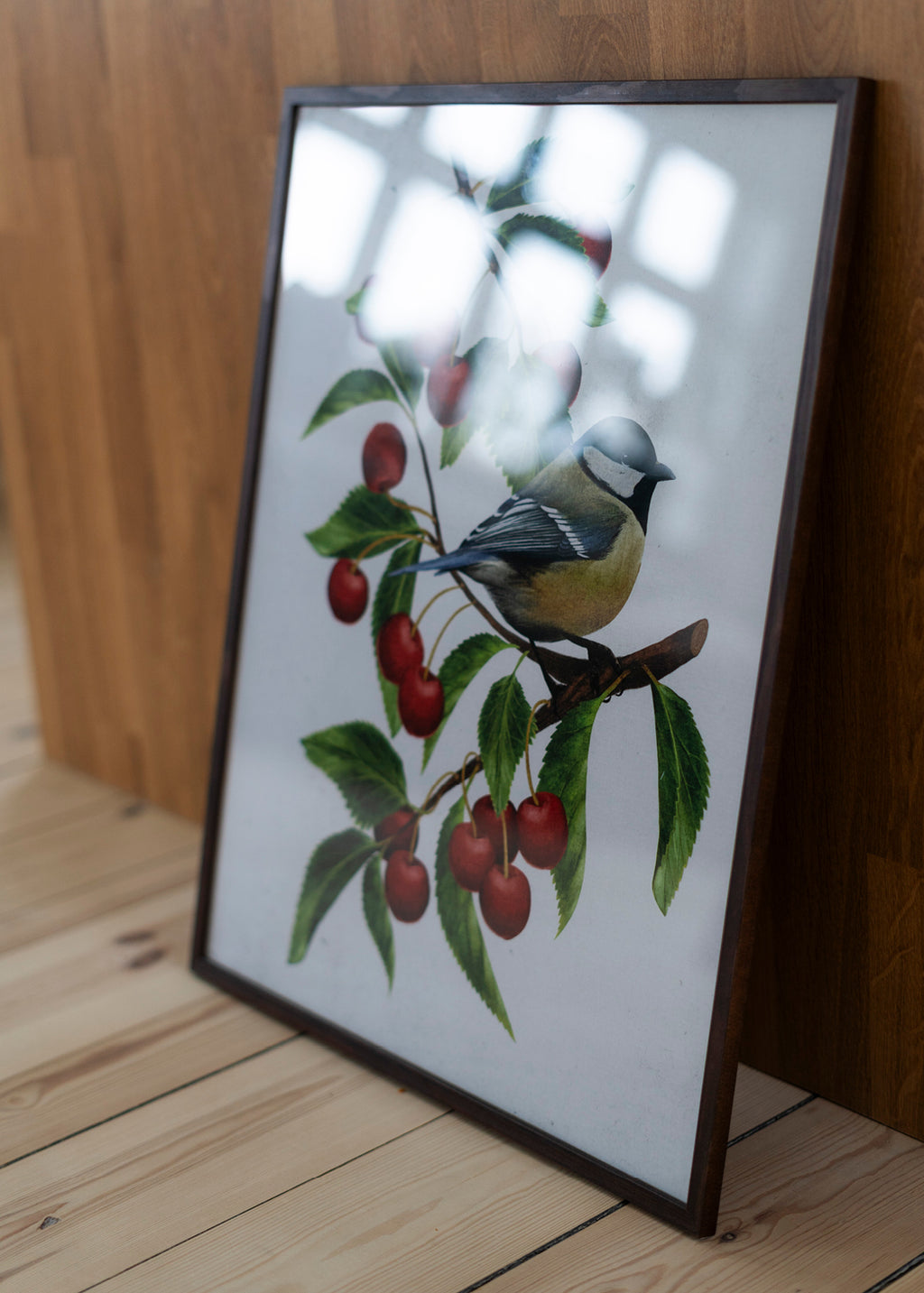 Musvit — 40x50
