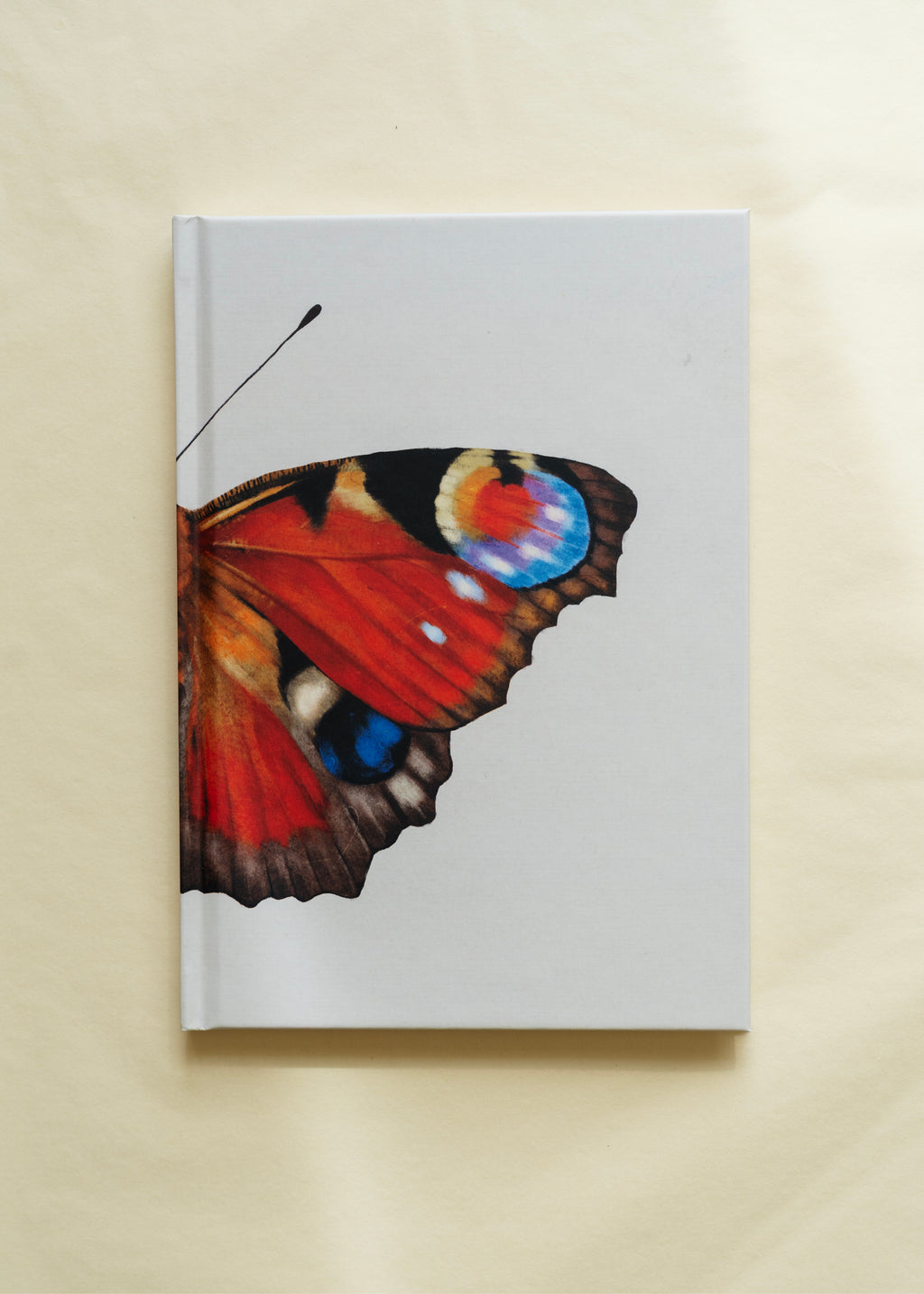 Notesbog — Dagpåfugleøje