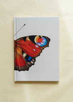 Notesbog — Dagpåfugleøje