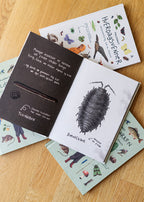 Bestsellers Bogpakken