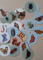 Samlehæfte med klistermærker