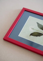 Ramsløg — Indrammet