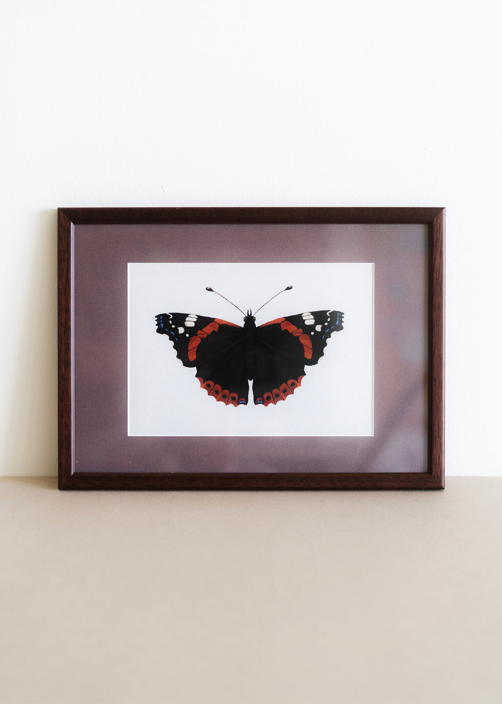 Admiral — Indrammet