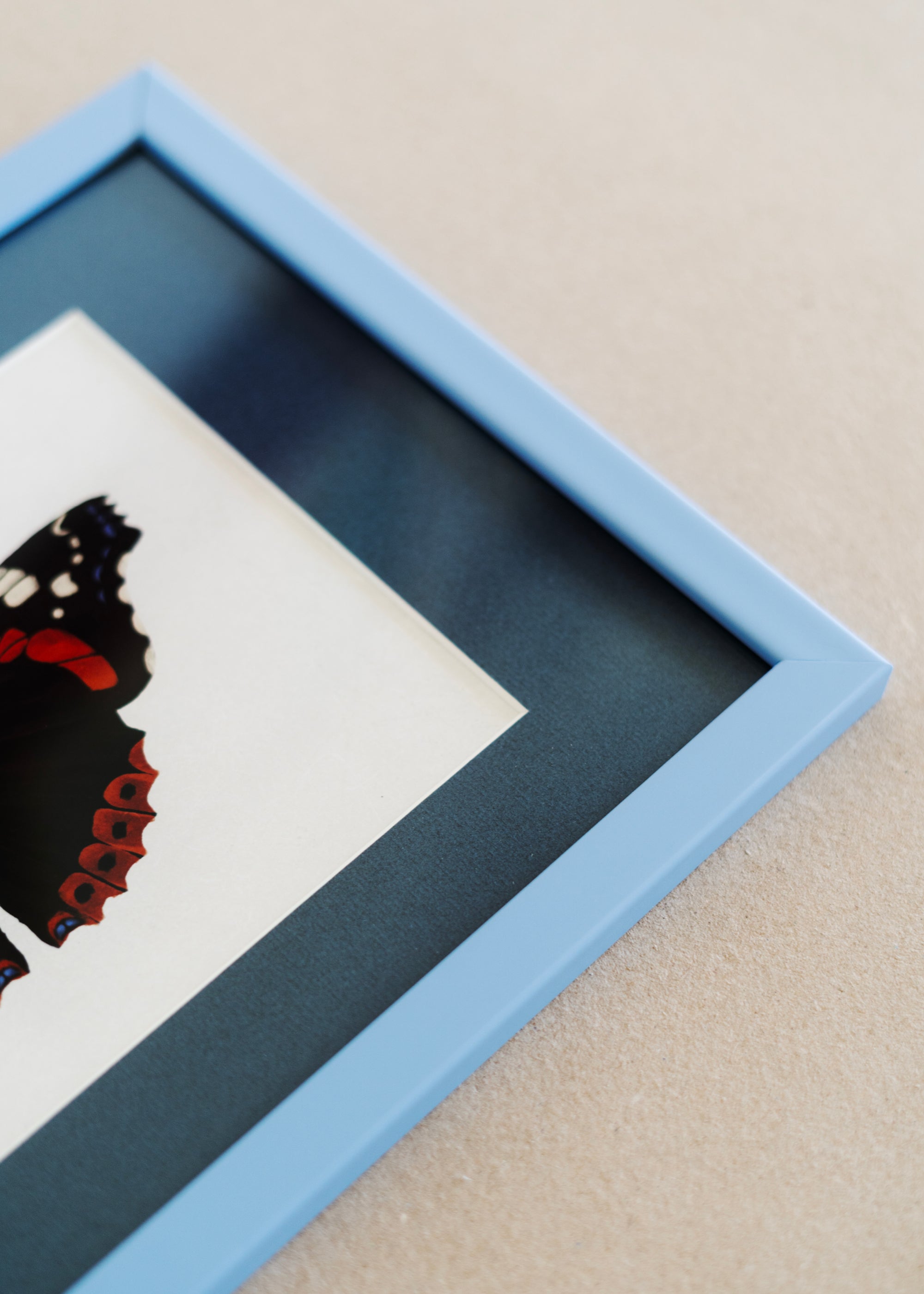 Admiral — Indrammet