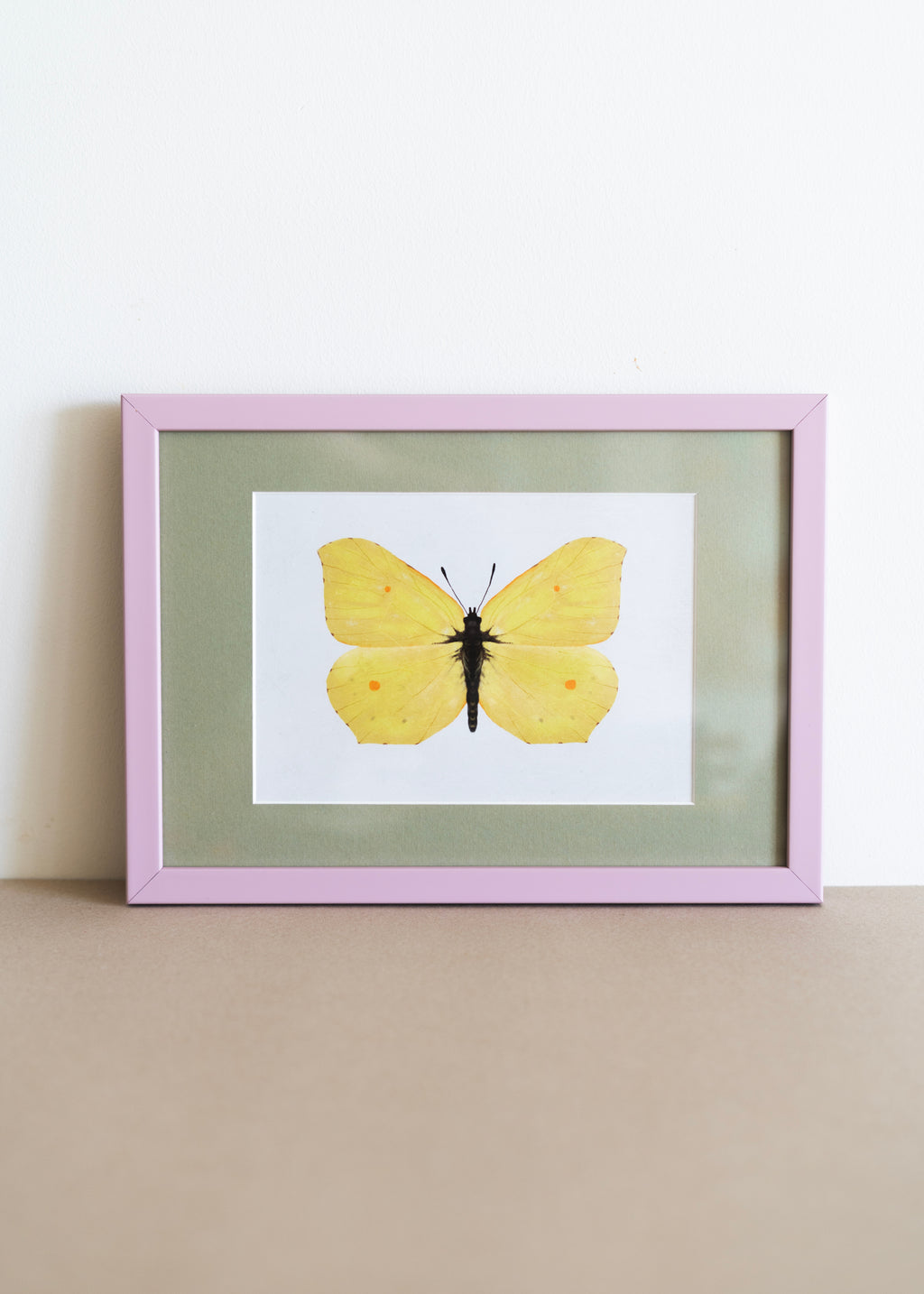 Citronsommerfugl — Indrammet