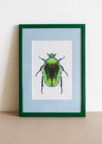 Grøn Guldbasse — Indrammet