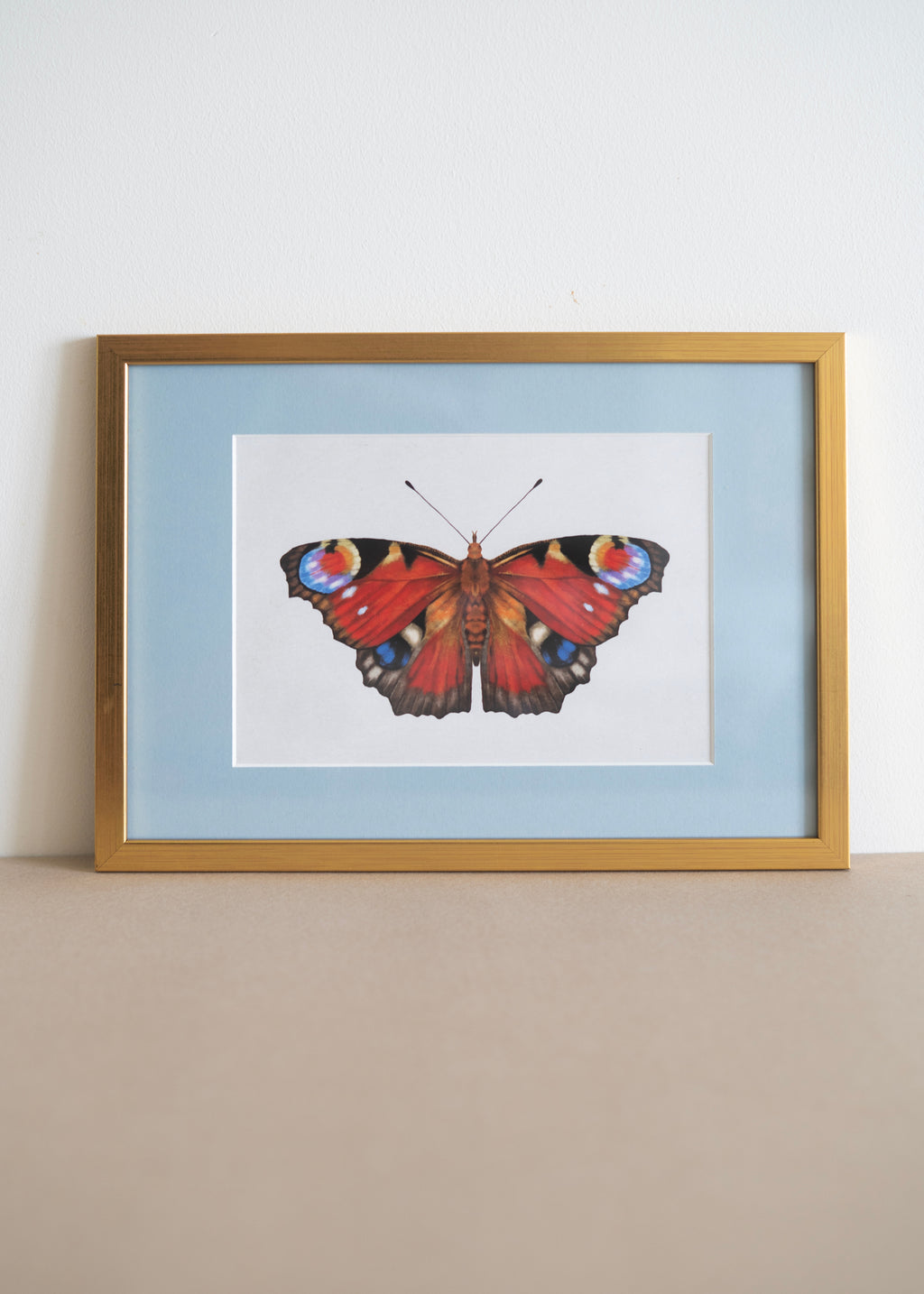 Dagpåfugleøje — Indrammet