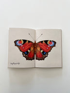 Bestsellers Bogpakken