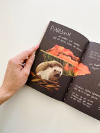 Bestsellers Bogpakken