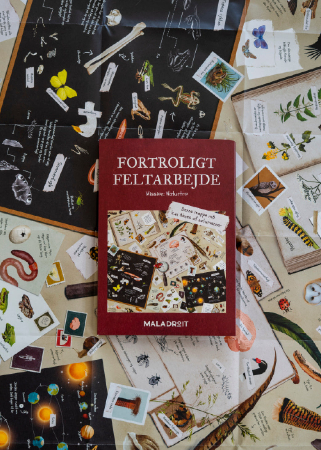 Fortroligt Feltarbejde — Lagersalg