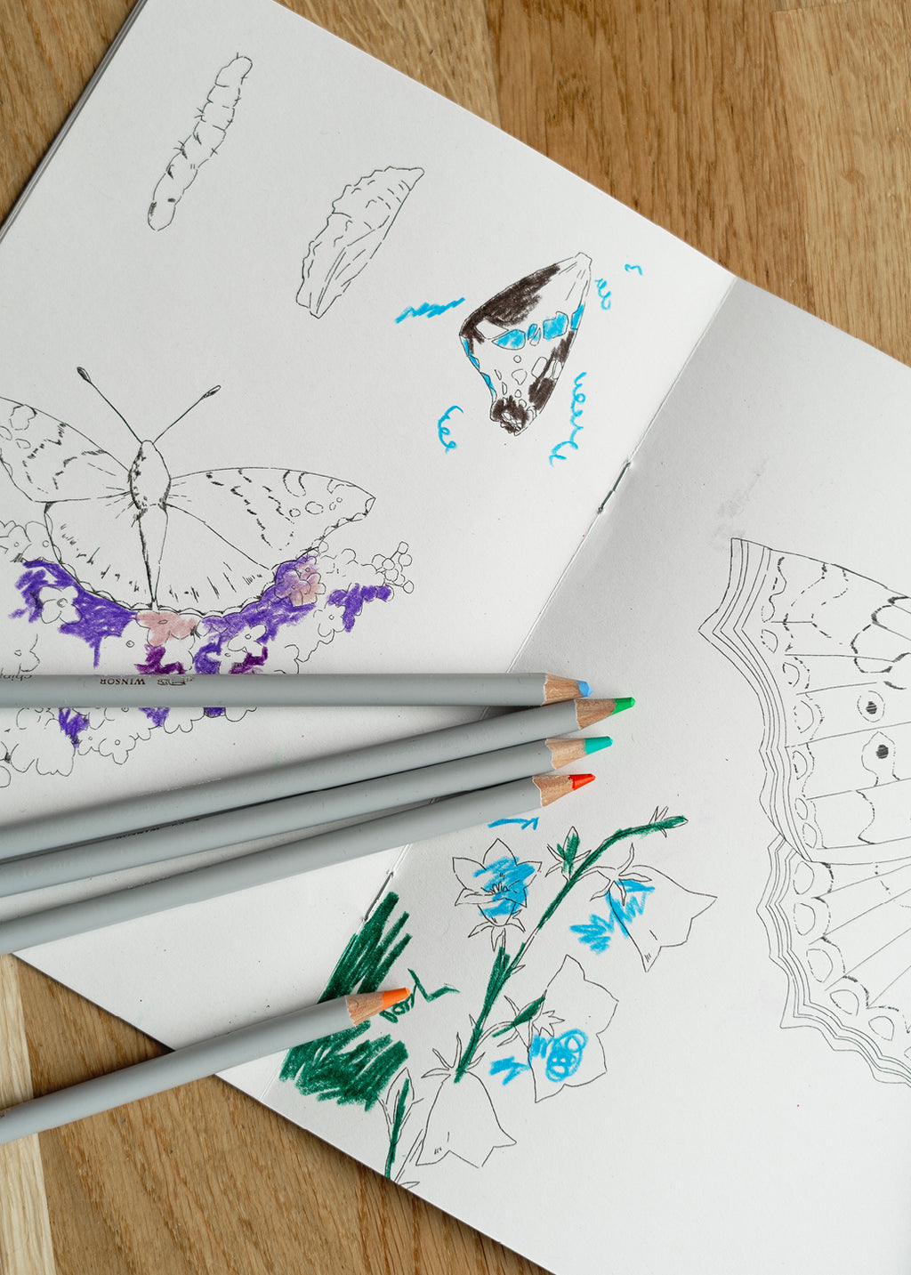 Hverdagsvenner Malebog, 24 sider —  100% genbrugspapir