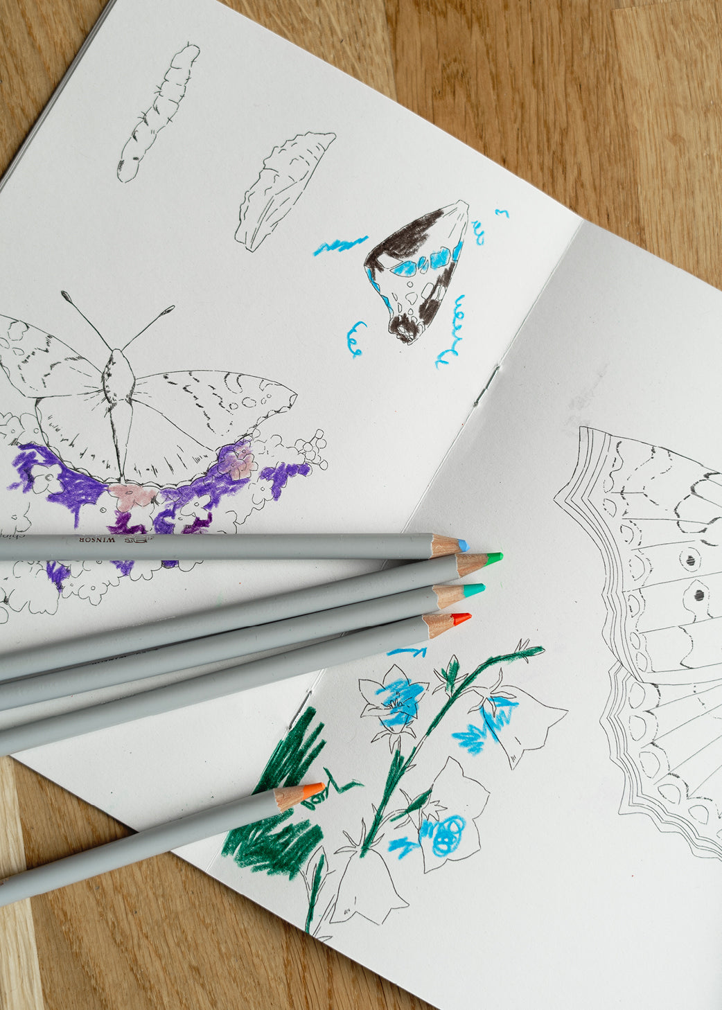 Hverdagsvenner Malebog, 24 sider —  100% genbrugspapir